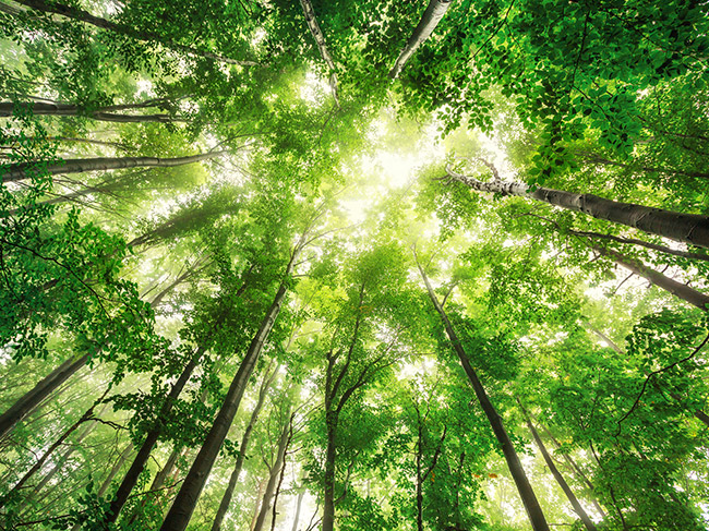 SantaCC - Today for tomorrow